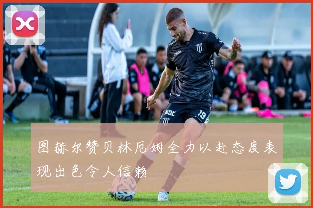 图赫尔赞贝林厄姆全力以赴态度表现出色令人信赖