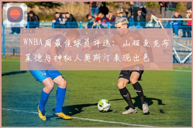 WNBA周最佳球员评选：山猫麦克布莱德与神秘人奥斯汀表现出色